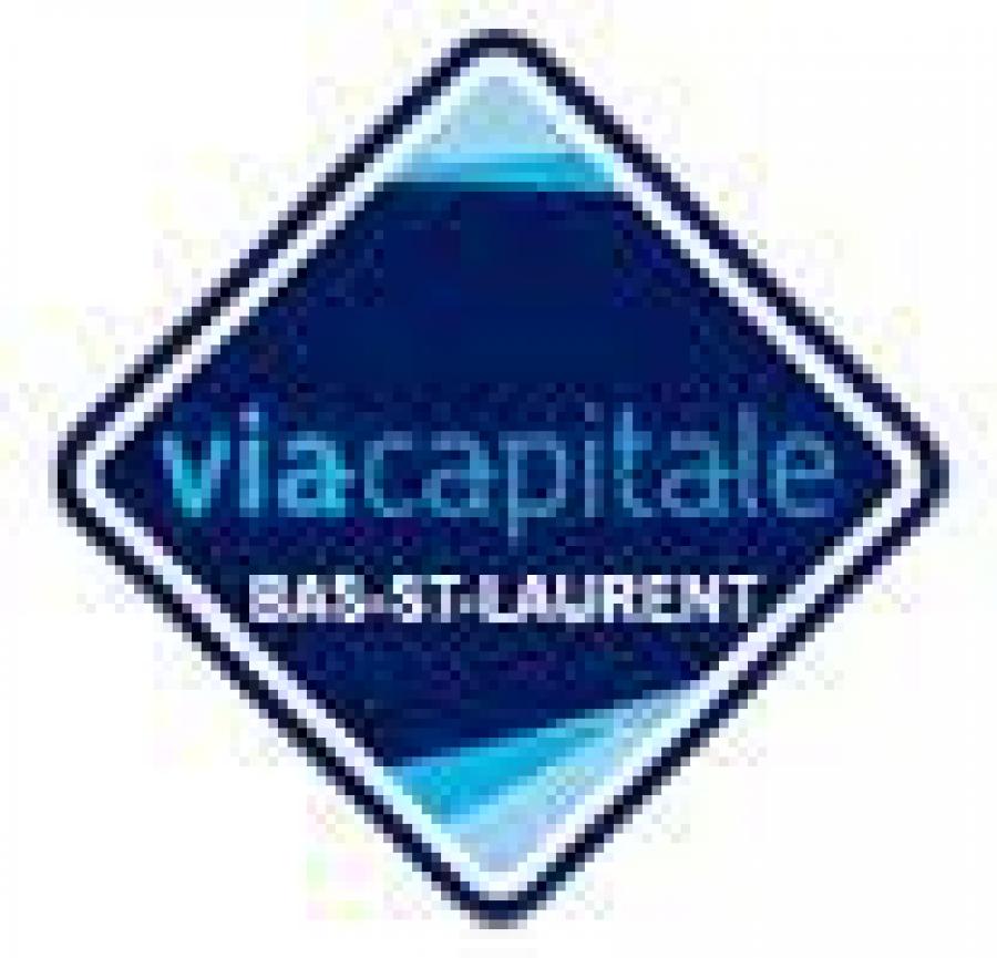 VIA CAPITALE BAS ST-LAURENT AGENCE IMMOBILIÈRE Logo